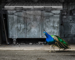 Similar image 19561167