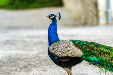 Similar image 19561184