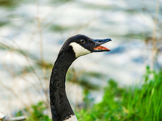 Similar image 19561189