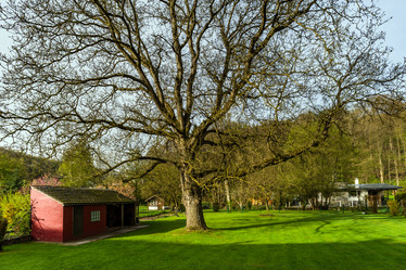 Similar image 19561264