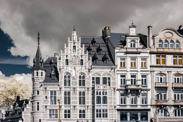 Similar image 19561279