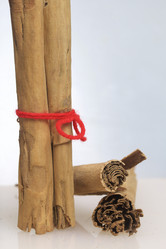 Similar image 19774634