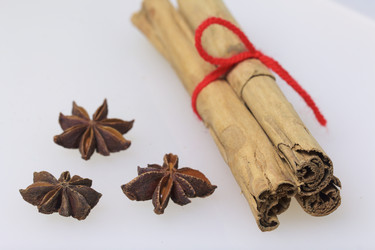 Similar image 19774663