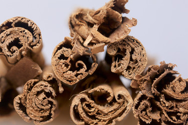 Similar image 19774692