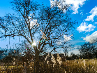 Similar image 19561398