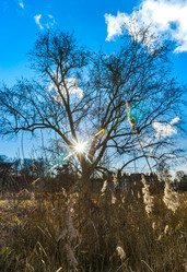 Similar image 19561402