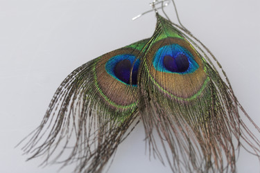 Similar image 19774343