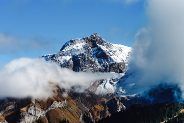 Similar image 19561459