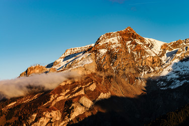 Similar image 19561405