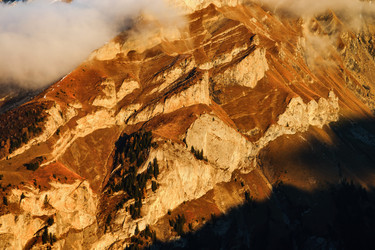 Similar image 19561420