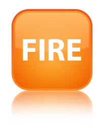 Similar image 19557736