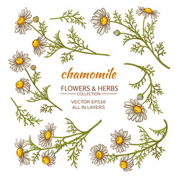 Similar image 19781744