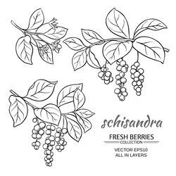 Similar image 19781769