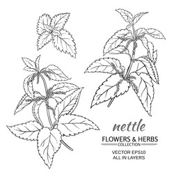 Similar image 19781861