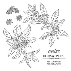 Similar image 19781785