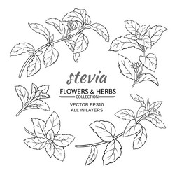 Similar image 19781809