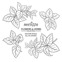 Similar image 19781810