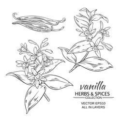 Similar image 19781850