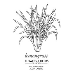 Similar image 19781864