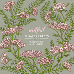 Similar image 19781782