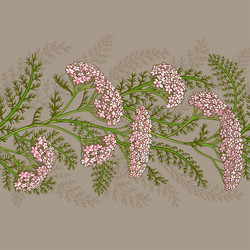 Similar image 19781955