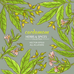 Similar image 19782570