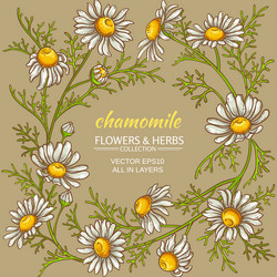 Similar image 19781908