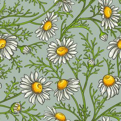 Similar image 19782413