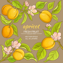 Similar image 19782105