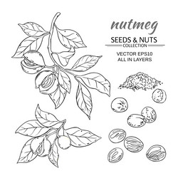 Similar image 19781964