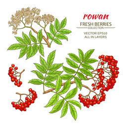 Similar image 19781978