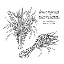 Similar image 19782001