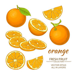 Similar image 19782005