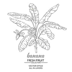 Similar image 19782059