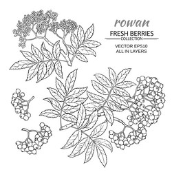 Similar image 19782127