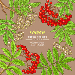 Similar image 19782133