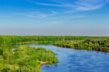 Similar image 19195966