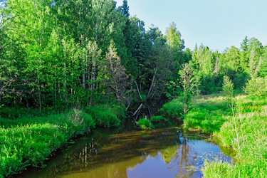 Similar image 19195978