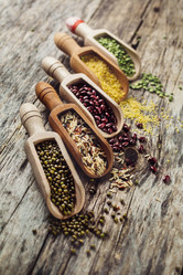 Similar image 19494059