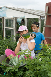 Similar image 19192935