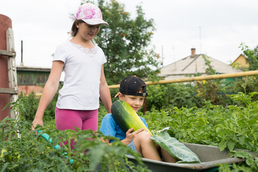 Similar image 19192936