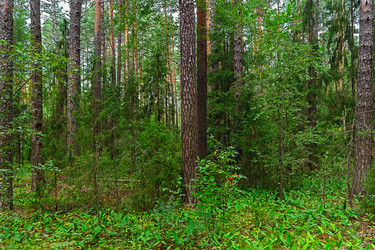 Similar image 19193023