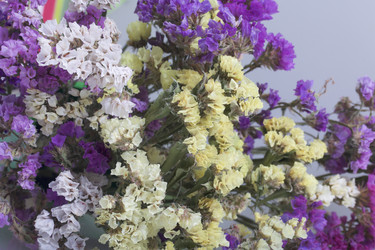 Similar image 19774556