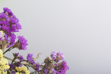 Similar image 19774750