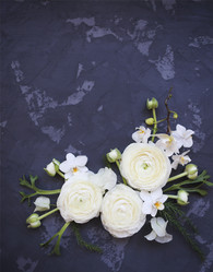 Similar image 19556811