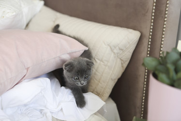 Similar image 19556850