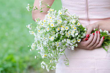 Similar image 19794756