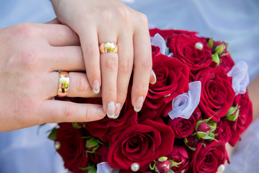 Similar image 19794788