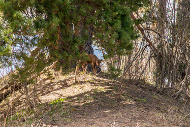 Similar image 19794796