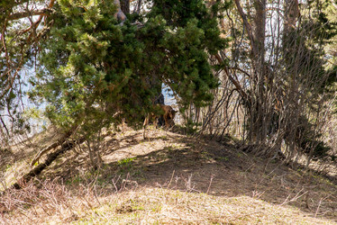 Similar image 19793610